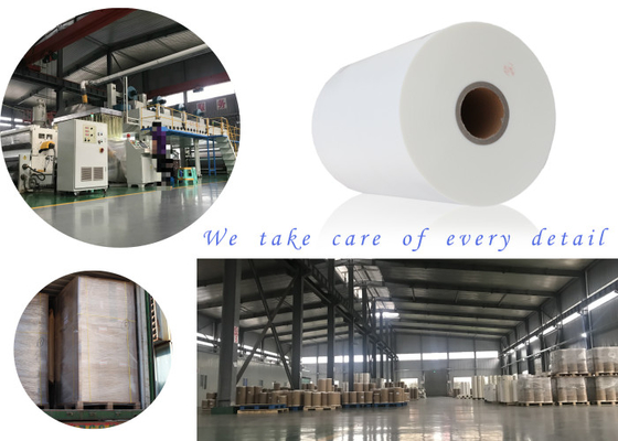 Leading Professional Glossy Matt Film Lamination Roll Manufacturer